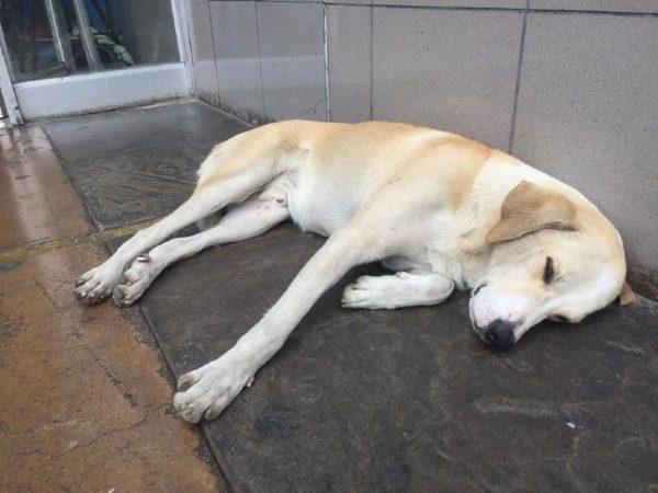 Ramsés na porta do hospital - Facebook Magaly Periche Jacinto