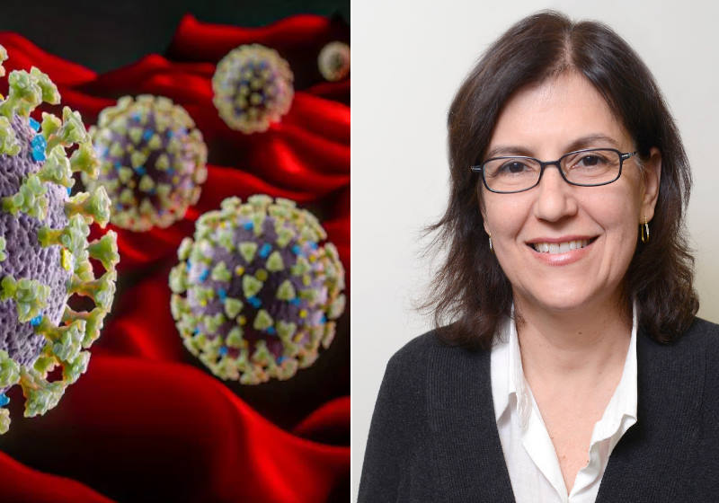 Beatriz Fontoura, Ph.D. Foto: UT Southwestern