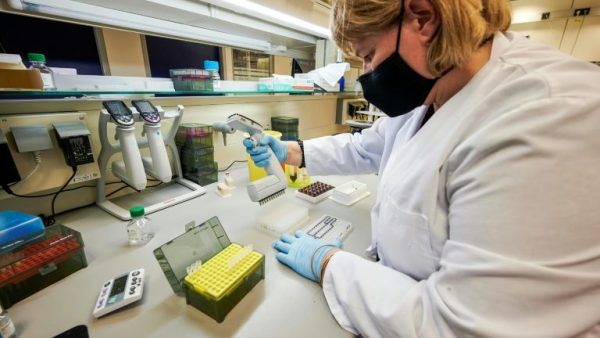 Cientistas da deCODE genetics são vistos trabalhando no laboratório em Reykjavik. - Foto: AFP/Arquivos