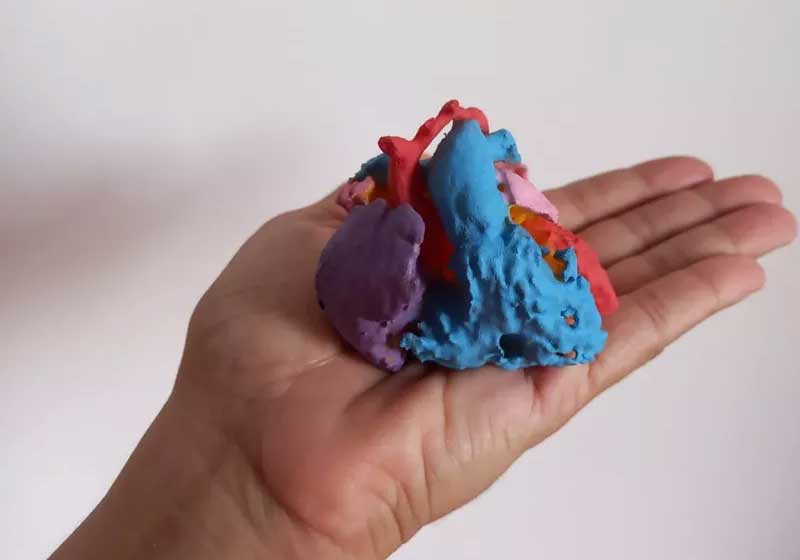 O coração impresso em 3D tinha todos os detalhes para que a cirurgia fosse um sucesso. - Foto: arquivo pessoal